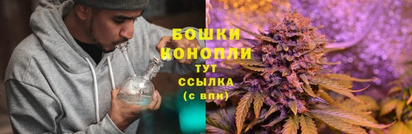 не бодяженный Нея