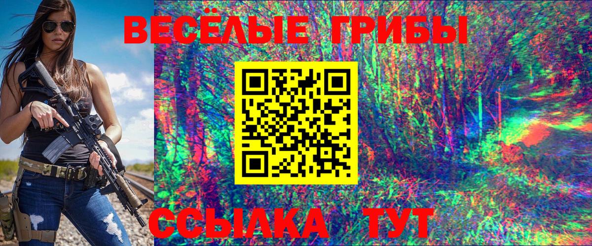 Петровск  Галлюциногенные грибы Psilocybe  Вход с VPN 