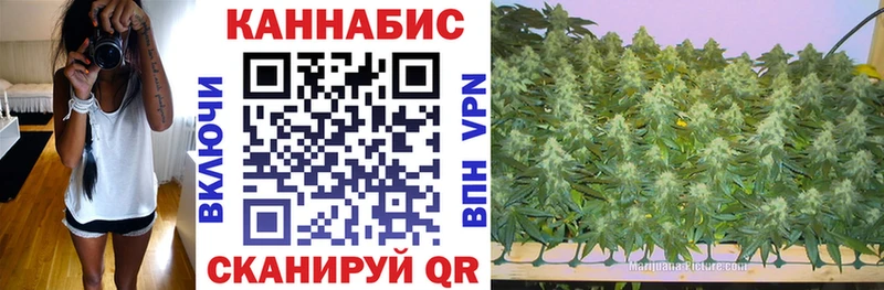 Каннабис Ganja мега ссылка Петровск